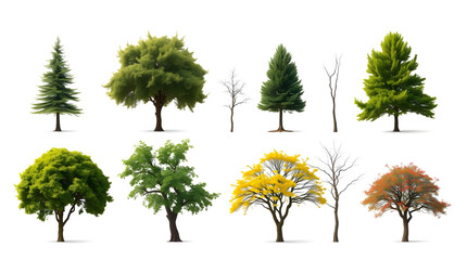 Poster - an assortment of trees isolated on a seamless background, showcasing various shapes and seasonal appearances.