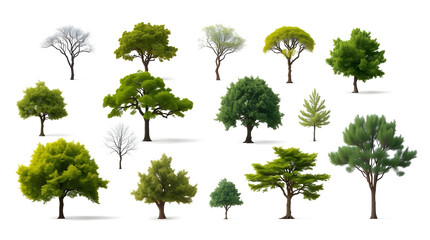 Poster - a variety of different kinds of trees with green leaves. They are arranged together, showcasing their different shapes and foliage