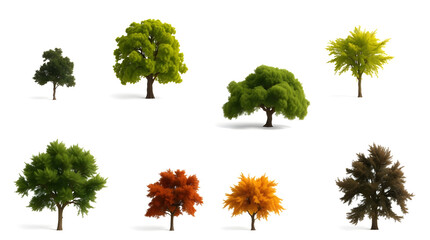 Poster - a collection of vibrant trees showcasing the diverse beauty of nature, each with unique foliage and form