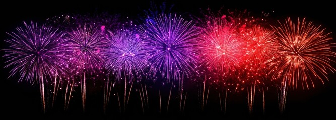 Poster - Vibrant purple and red fireworks exploding against dark sky