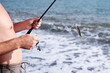 © isavira - Spinning fishing. Close-up of male fisherman's hands and horse mackerel fish caught with spinning rod on a sunny hot day against the sea background