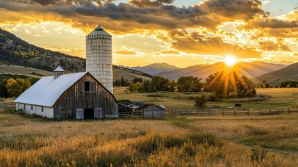 Poster - A barn and silo standing in a field, glowing under the golden hues of a farm sunset.