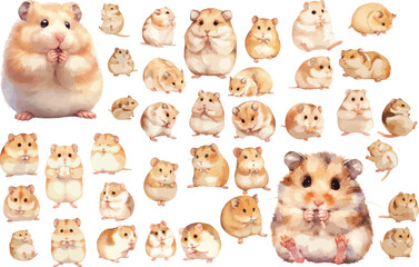 Wall Mural - hamster watercolor clipart