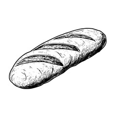 Poster - Hand-drawn vector illustration of a freshly baked baguette loaf on a textured surface