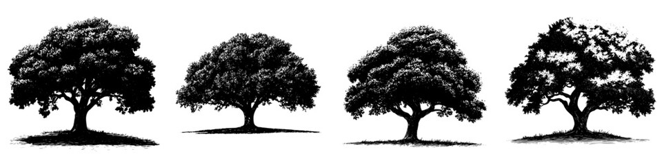 Poster - Hand drawn vector illustration of diverse tree silhouettes showcasing seasonal changes in a natural setting