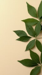 Poster - Vibrant green leaves arrangement minimalist background nature calm environment close-up botanical concept