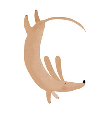 Wall Mural - vector cillustration with happy dachshund dog. funny dog doing somersaults. lovely hand drawn nurser