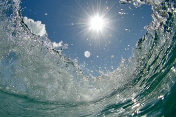 Wall Mural - stunning ocean wave with bright sunlight and clear blue sky