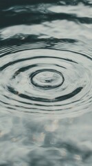 Poster - Rippling water reflection tranquil lake nature image serene environment close-up view water concept