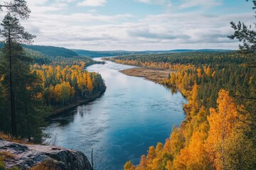 Wall Mural - River in Lush Green Forest