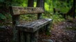 © Alla - A wooden bench surrounded by trees and foliage in a serene forest environment