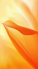 Poster - soft sunlight illuminates a vibrant orange leaf, creating a mesmerizing interplay of light, shadow, 
