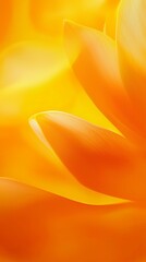 Poster - Close-up view of luminous yellow petals forming a captivating and vibrant floral background, perfect for enhancing nature-inspired designs with a touch of elegance and beauty