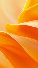Poster - Smooth orange petals are creating wavy shapes in sunlight, forming a beautiful and elegant natural pattern with a warm and inviting atmosphere