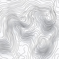 Poster - Abstract black and white line art creating a wave-like topography pattern.