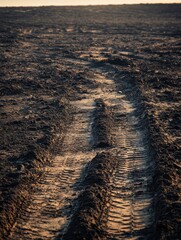 Wall Mural - Tire tracks winding through the sandy terrain at sunset near a vast and empty landscape. Generative AI