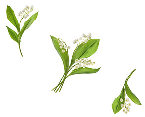 Wall Mural - Beautiful Lily of the valley flower falling in the air isolated on white background. levitation or zero gravity floral conception. High resolution image.