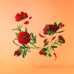 Wall Mural - Beautiful Red Peony falling in the air isolated on pastel orange background. High resolution. Zero gravity or levitation concept.
