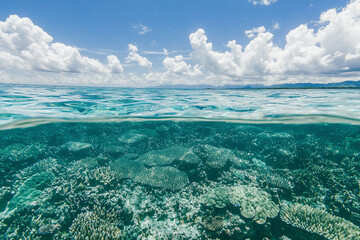 Poster - Vibrant ocean scene with coral reefs beneath clear blue water and cloudy sky