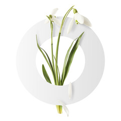 Wall Mural - beautiful snowdrop flower with green leaves falling in the air isolated on white background. spring 