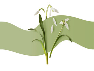 Wall Mural - beautiful snowdrop flower with green leaves falling in the air isolated on white background. spring 