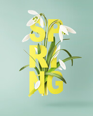 Wall Mural - beautiful snowdrop flower with green leaves falling in the air isolated on turquoise background. spr