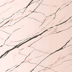 Wall Mural - elegant marble surface with black veins decorative interior material polished stone pattern