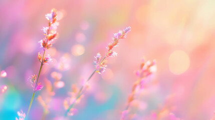 Poster - Dreamy pastel floral scene with soft gradient colors for elegant design