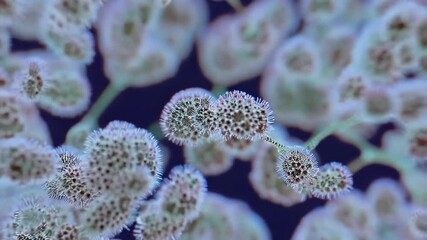 Aufkleber - Microscopic organisms, possibly bacteria or viruses, multiply and spread across a dark background, creating a visual representation of infection and disease