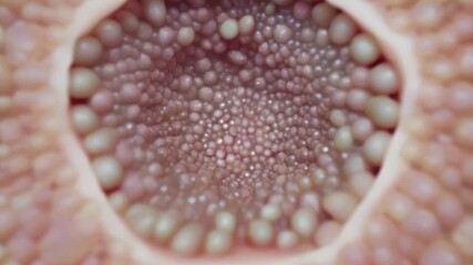 Aufkleber - Close up microscopic view exploring natural skin pore dynamics, revealing intricate structural changes and biological functionality in maintaining healthy dermatological processes
