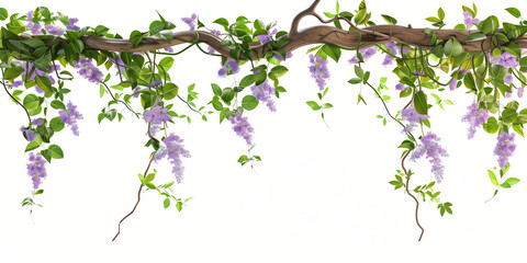 Tropical vines and flowers on wooden branch isolated on white background - floral arch for wedding decorations in style of flower arrangement.