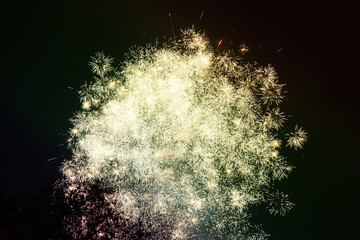 Wall Mural - a huge firework display lit up the night sky