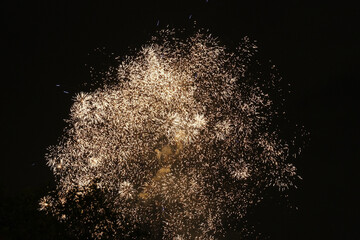 Wall Mural - a huge firework display lit up the night sky