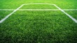 © Pixcellence - Close-up of lush green soccer field with white line markings