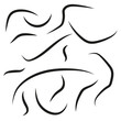 © Kravchenko - Abstract curved strokes. Dynamic flowing shapes. Artistic black lines. Vector illustration.
