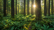 © Nattavee - forest glade filled with ferns and tall trees, with a single shaft of sunlight illuminating the forest floor