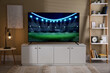 © New Africa - Sport game playing on TV set in room