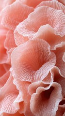 Poster - Delicate coral fungus formation in soft light a captivating macro shot showcasing intricate details and organic textures in a mesmerizing pink hue
