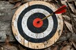 © Phuriphat - A wooden target with a red arrow in the center