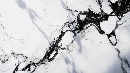Poster - glossy marble tabletop with ultra-modern monochrome veins, where dynamic abstract shadows dance across a bright white wall