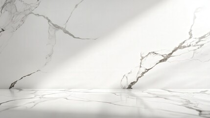 Poster - polished white marble tabletop with dramatic dark veins, reflecting ambient light, casting soft abstract shadows on a neutral white background.