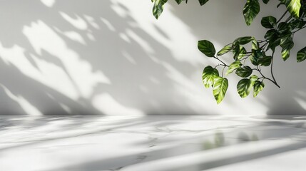 Poster - pure white marble tabletop with subtle veins, catching soft sunlight, casting dreamy abstract shadows on a pristine white wall for premium product mockups.