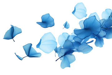 Wall Mural - flying blue petals on transparent background
