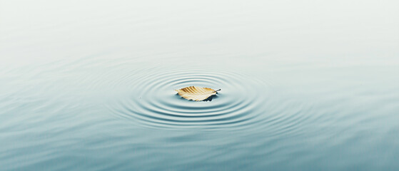 Poster - single golden leaf floats on serene water surface, creating gentle ripples