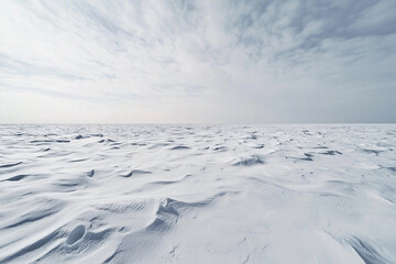 Poster - vast snowy landscape under cloudy sky, evoking sense of tranquility