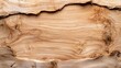 © KIMEHIME - Natural wood slab texture with rough bark border framing a smooth grain surface in bright light.