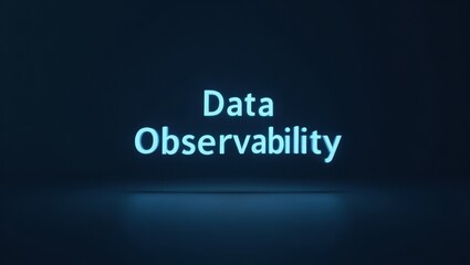 Poster - Data Observability. Words data observability are glowing in dark room