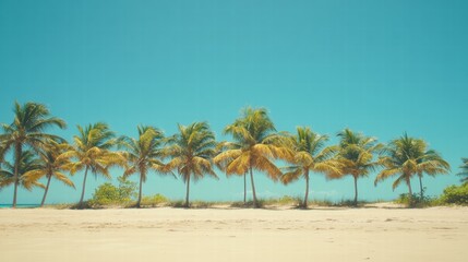 Poster - Lush palm trees lining a serene beach under a clear blue sky in a tropical paradise setting. Generative AI