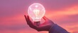 © Priya - Idea light bulb in Hand against sunset sky