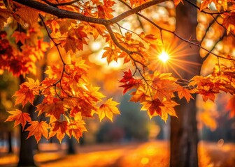 Wall Mural - Fall's fiery embrace: orange leaves, golden light, stunning nature.